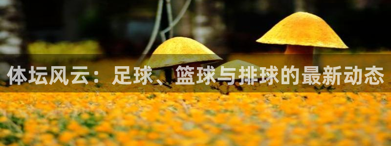 意昂f凯捷体育老板是谁