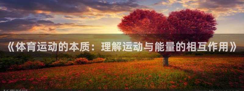 意昂f凯捷体育官网：《体育运动的本质：理解运动与能量的相互作用》