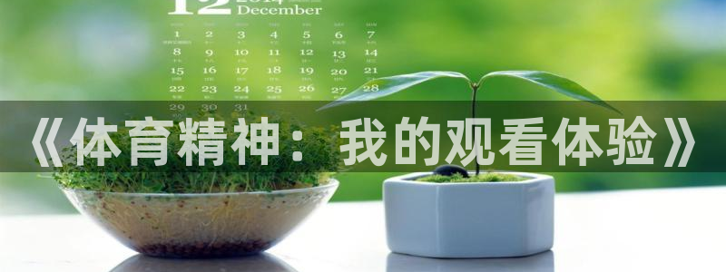 意昂f凯捷官网注册：《体育精神：我的观看体验》