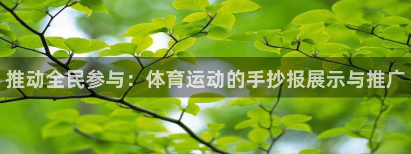 意昂f凯捷体育和杏耀是哪个公司的：推动全民参与：体育运动的手抄报展示与推广