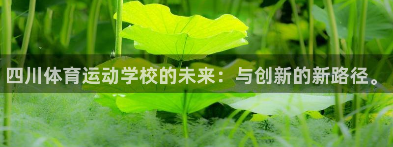 意昂f凯捷2平台：四川体育运动学校的未来：与创新的新路径。