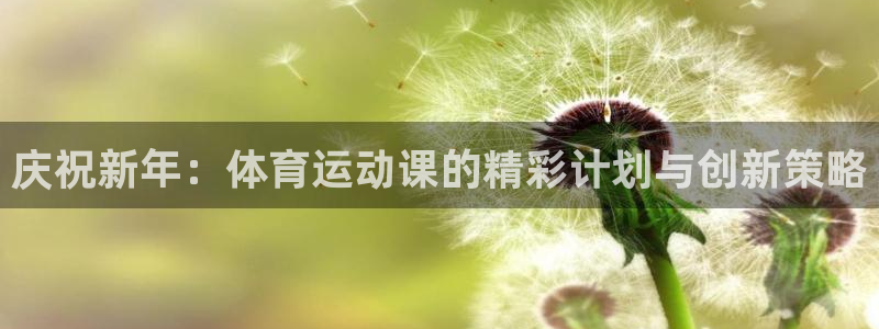 意昂f凯捷3官网登录：庆祝新年：体育运动课的精彩计划与创新策略