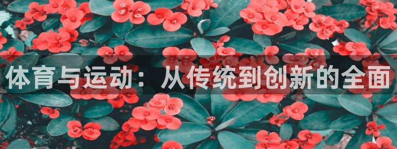 意昂f凯捷3代理：体育与运动：从传统到创新的全面