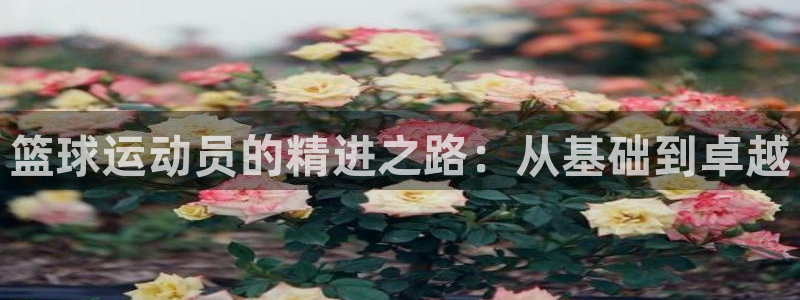 意昂f凯捷3登录：篮球运动员的精进之路：从基础到卓越