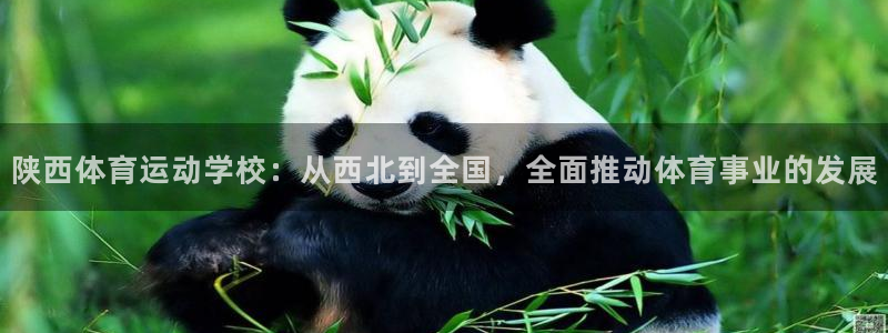 意昂f凯捷：陕西体育运动学校：从西北到全国，全面推动体育事业的发展