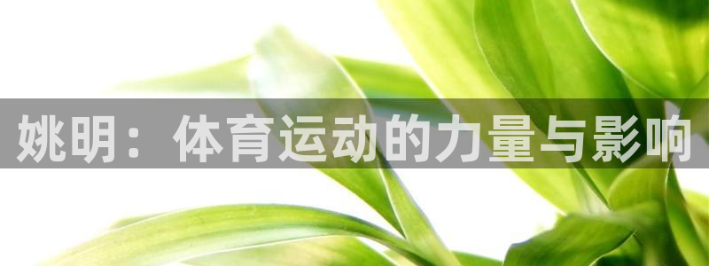 意昂f凯捷招商：姚明：体育运动的力量与影响