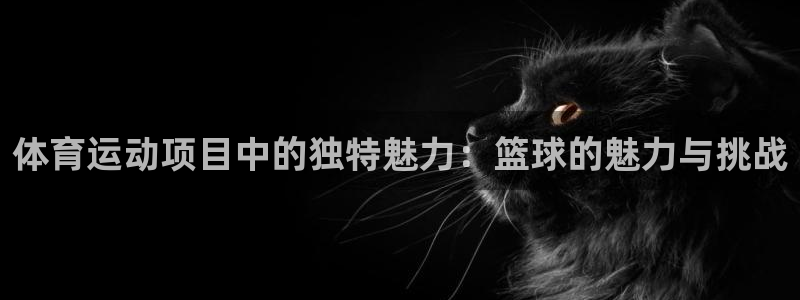 意昂f凯捷体育平台注册：体育运动项目中的独特魅力：篮球的魅力与挑战