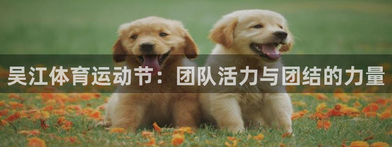 意昂f凯捷体育论坛：吴江体育运动节：团队活力与团结的力量