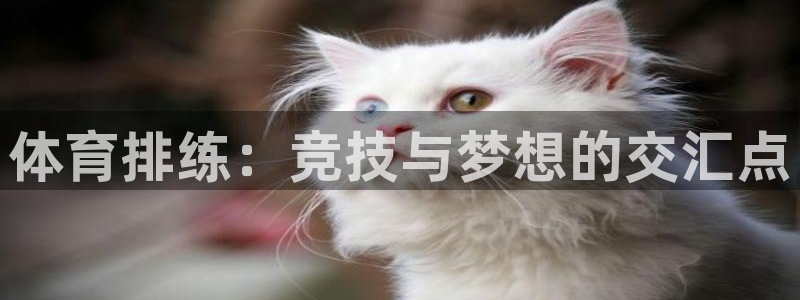 意昂f凯捷4开户：体育排练：竞技与梦想的交汇点