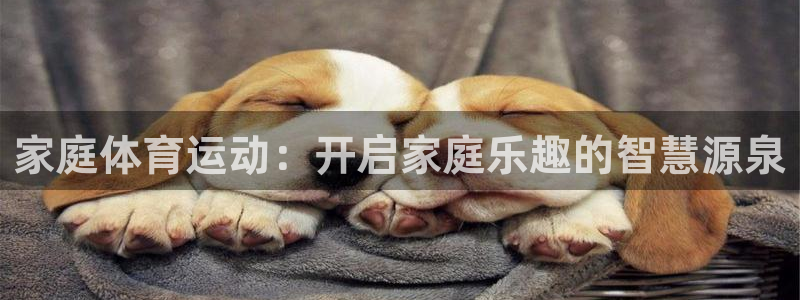 意昂f凯捷体育f开户：家庭体育运动：开启家庭乐趣的智慧源泉