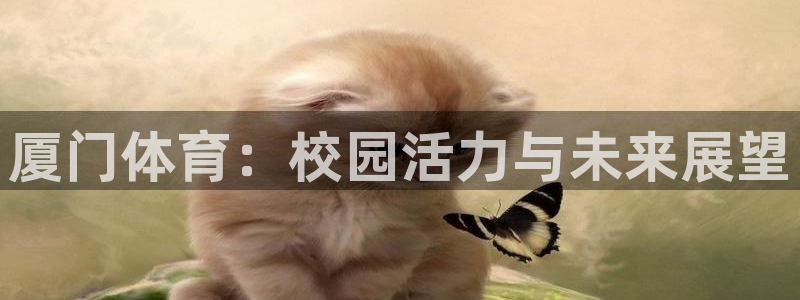 意昂f凯捷体育老板是谁：厦门体育：校园活力与未来展望