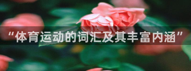 意昂f凯捷体育网页版入口：“体育运动的词汇及其丰富内涵”