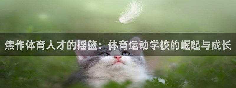 意昂f凯捷2代理注册：焦作体育人才的摇篮：体育运动学校的崛起与成长