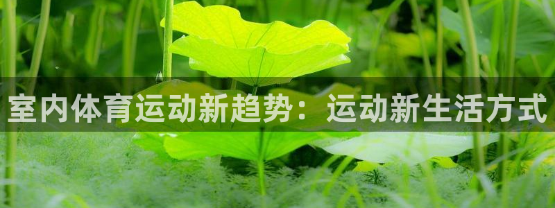 意昂f凯捷2注册：室内体育运动新趋势：运动新生活方式