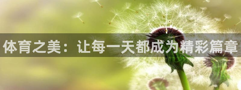www.意昂f凯捷体育.com：体育之美：让每一天都成为精彩篇章